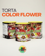Torta Color Flower